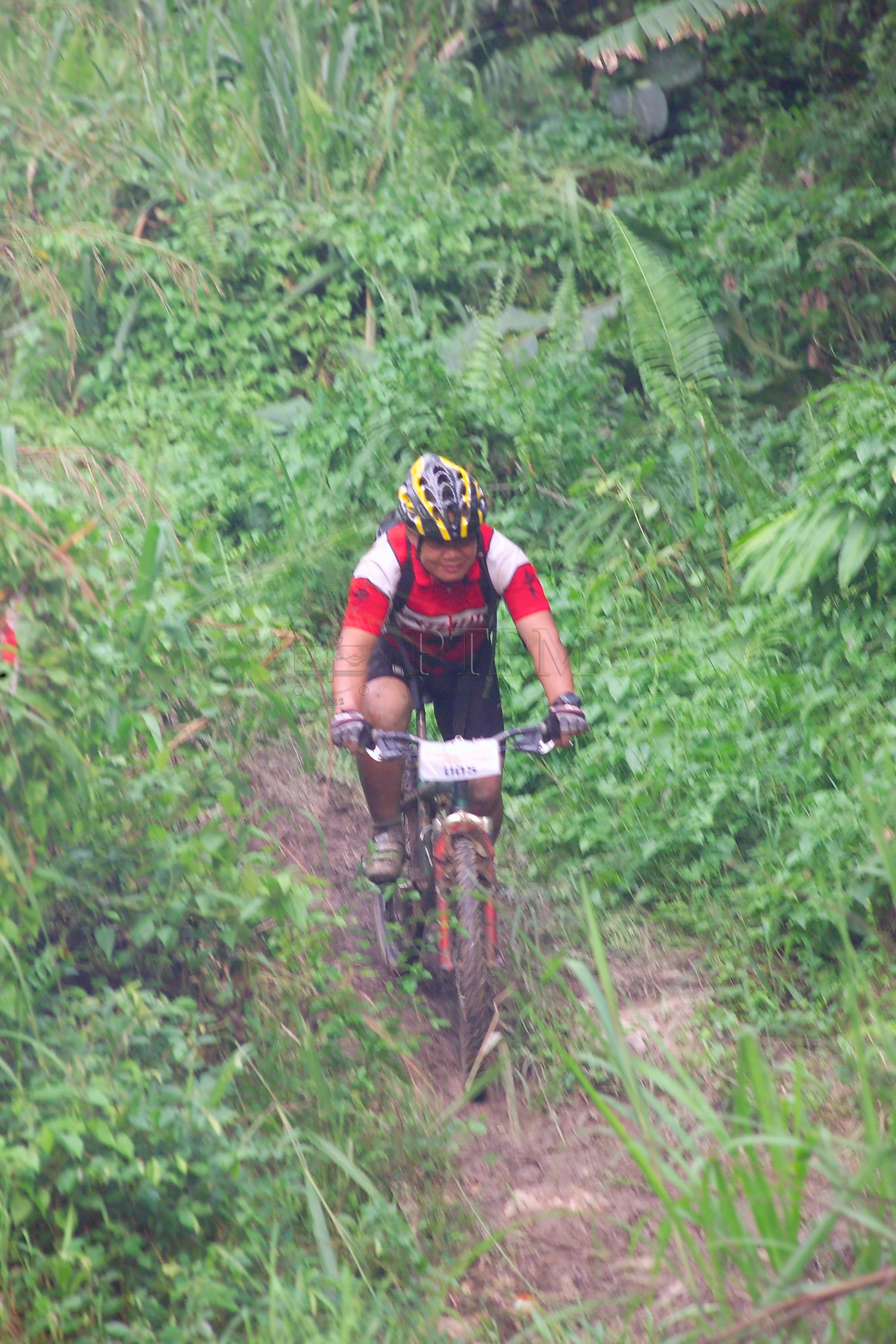 PTPM 06 31 kilau D9X44238